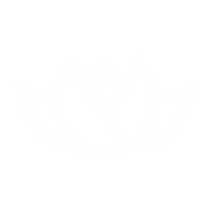 sow-reap-consult-logo-icon-02